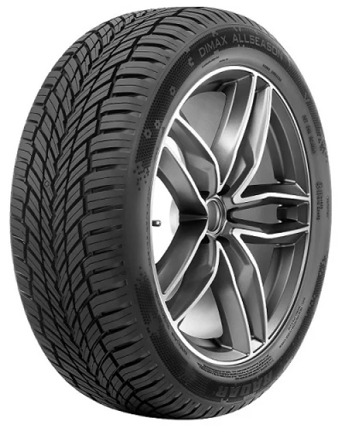 215/60R17 100V XL DIMAX ALL SEASON